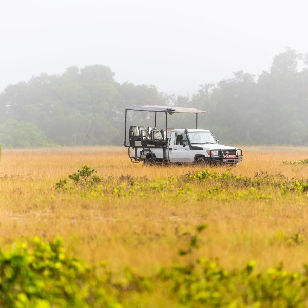 Loango Safari